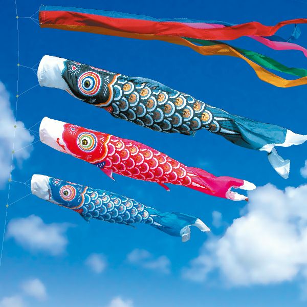 ゴールド鯉1.5M6点【ﾌﾟﾚﾐｱﾑﾍﾞﾗﾝﾀﾞｽﾀﾝﾄﾞｾｯﾄ】