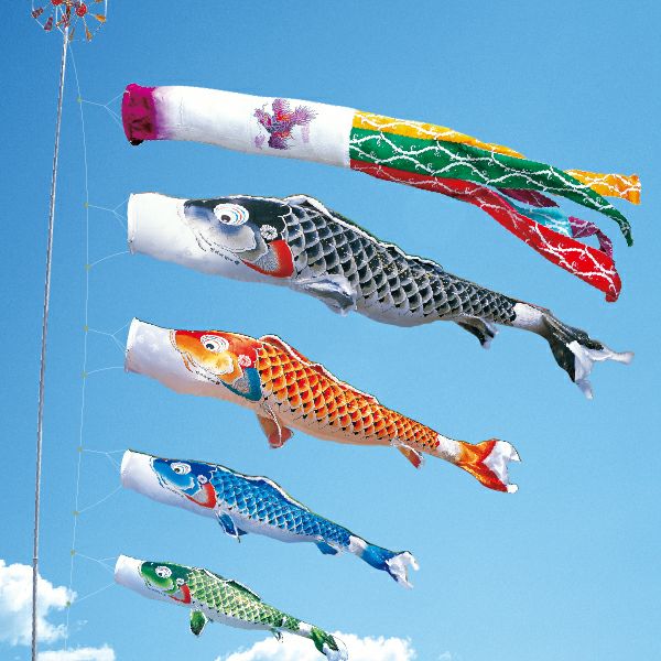 3M｜大きさから選ぶ｜鯉のぼり｜東玉
